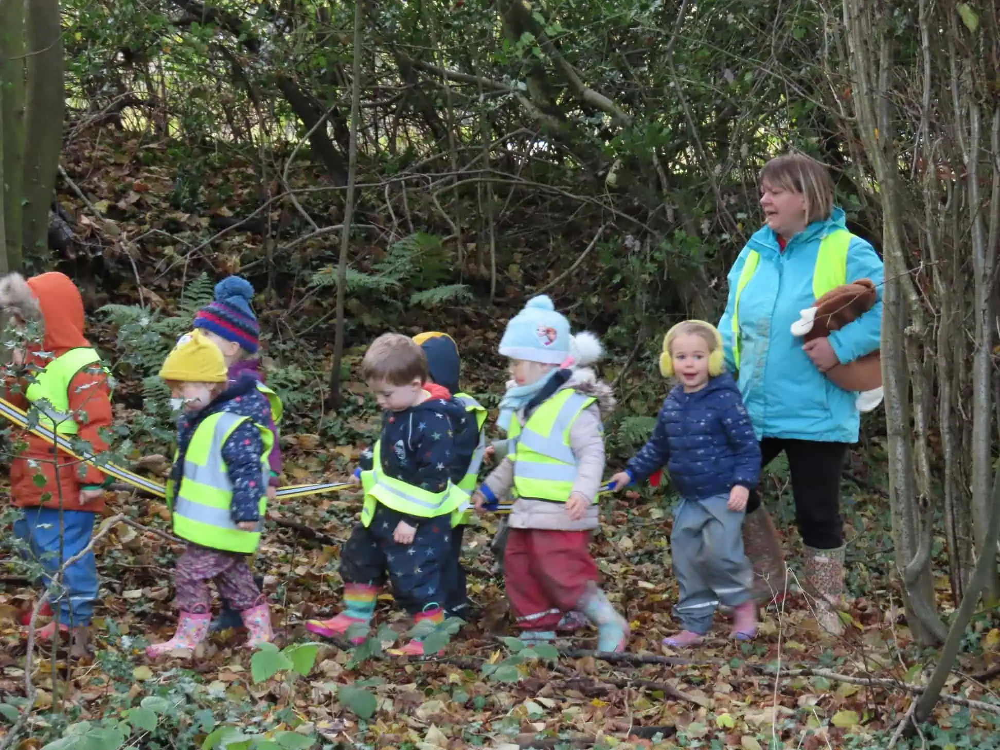 Out and about in the woods on our walk