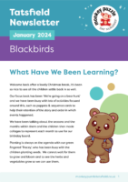 Blackbirds Newsletter Feb 2024