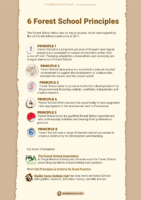 6 Forest School Principles